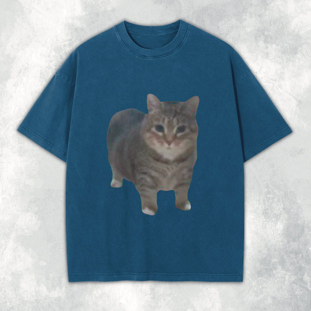 oo ee aa Cat Heavyweight Tee