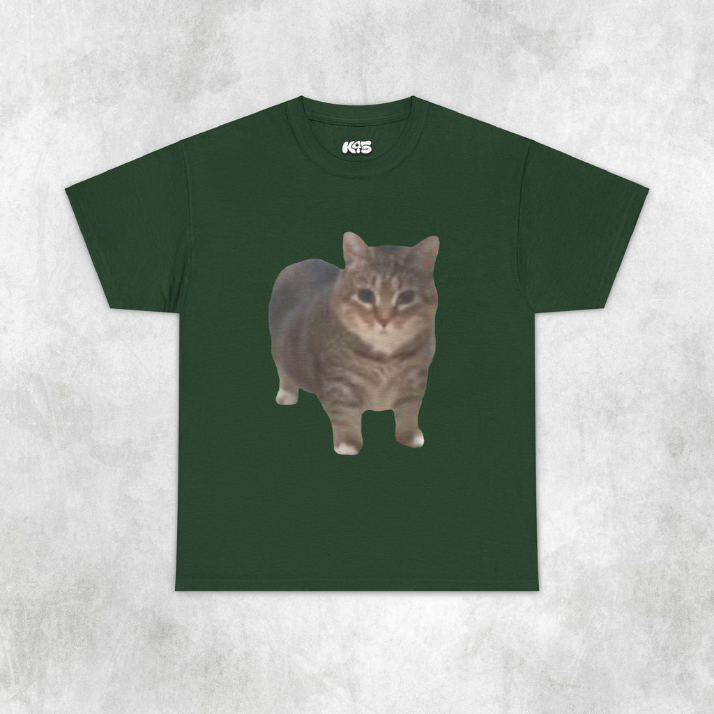 oo ee aa Cat Tee