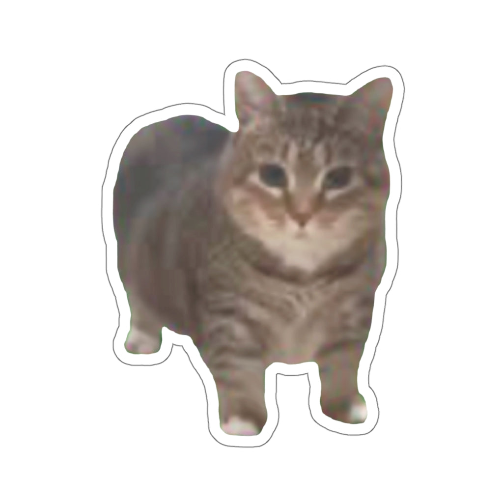 ee oo ee Cat Sticker