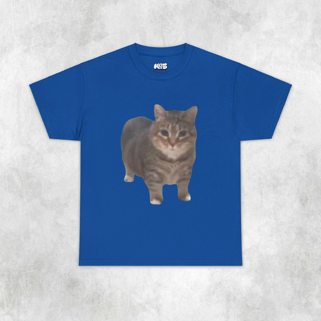 oo ee aa Cat Tee