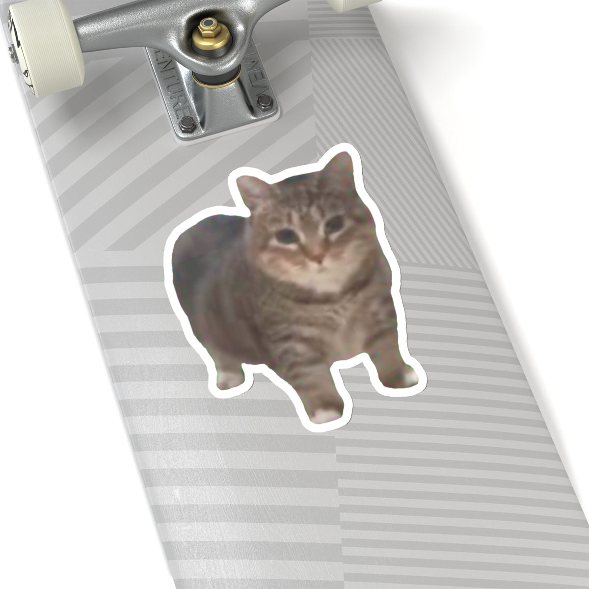 ee oo ee Cat Sticker