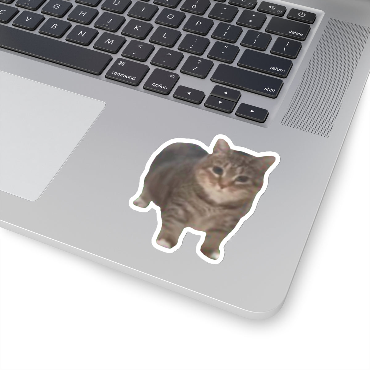 ee oo ee Cat Sticker