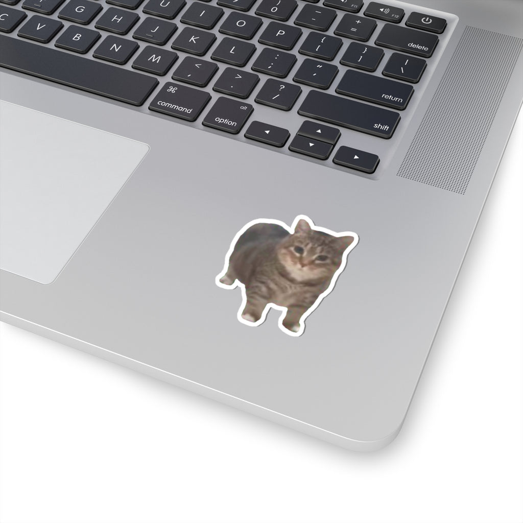 ee oo ee Cat Sticker