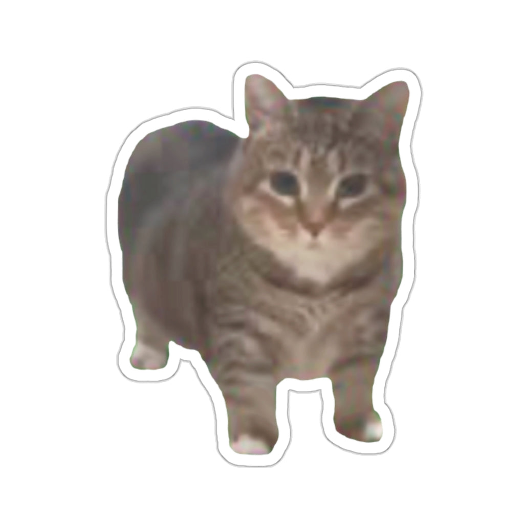 ee oo ee Cat Sticker
