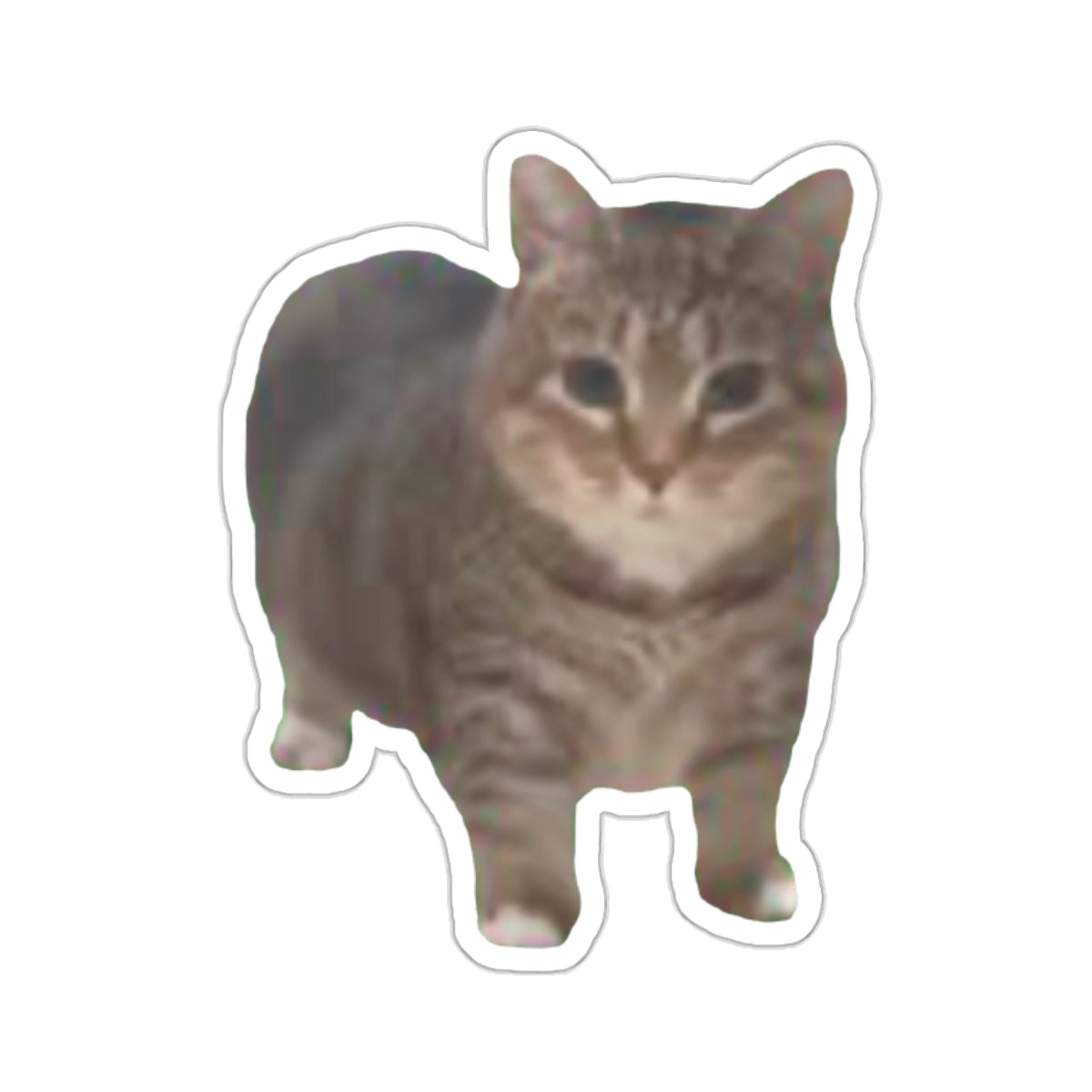 ee oo ee Cat Sticker