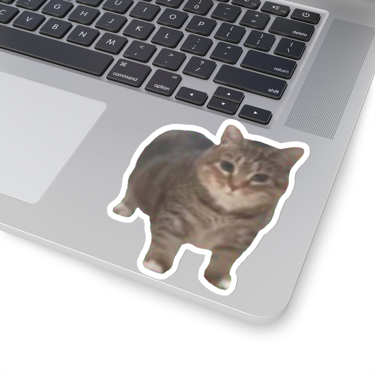ee oo ee Cat Sticker