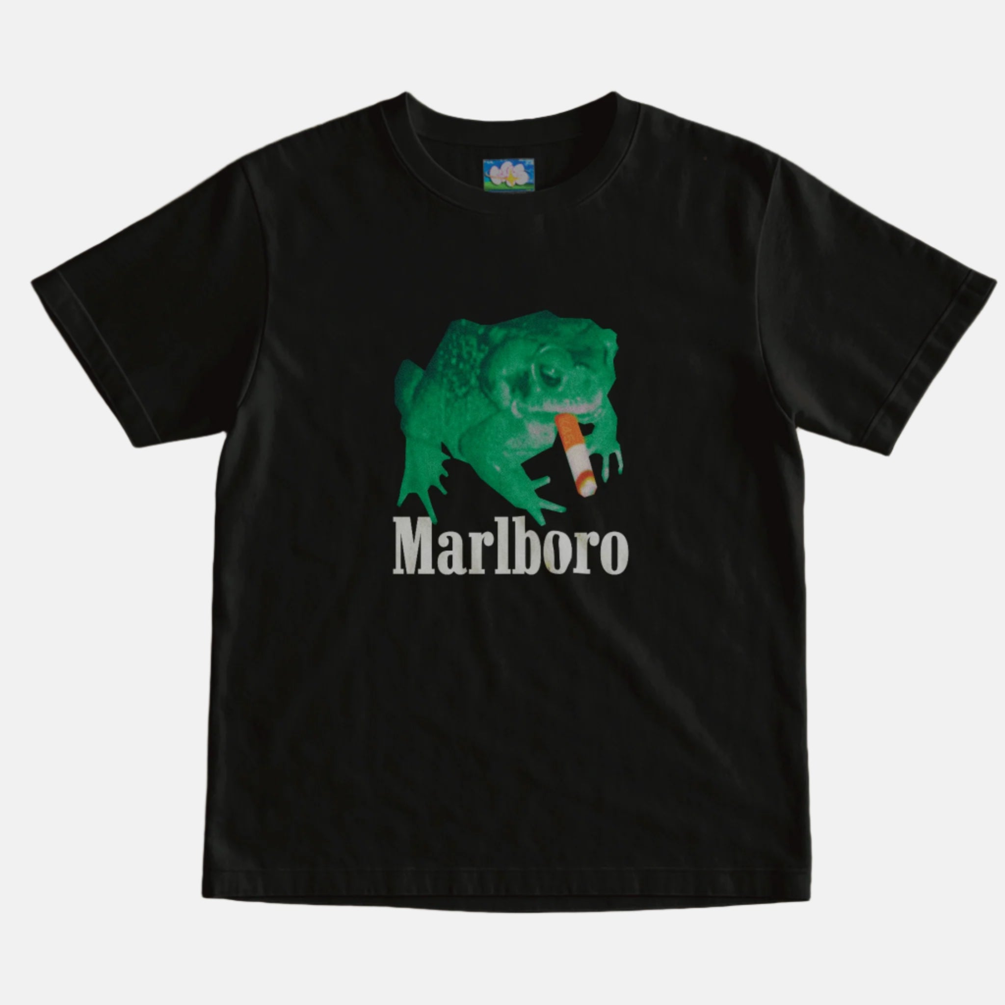 Marlb0r0 frog